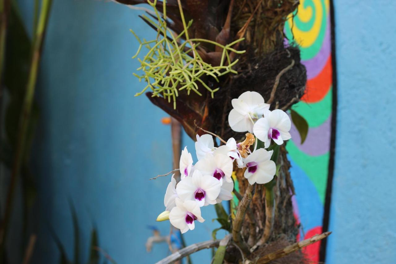 Local Friend Hostel Armacao dos Buzios ภายนอก รูปภาพ